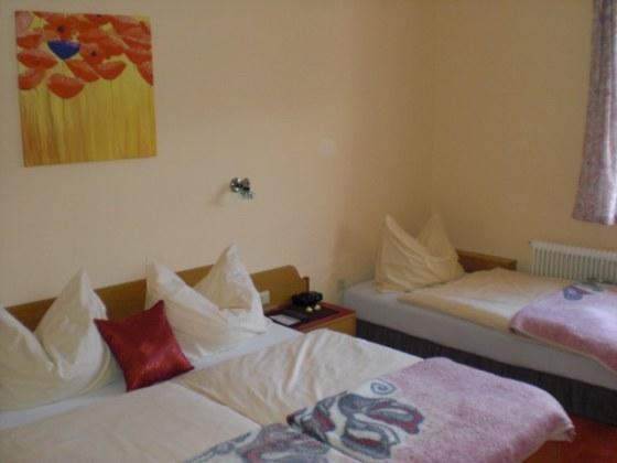 Hotel Bergkristall Schwarzenberg am Bohmerwald 외부 사진